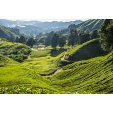 3D2N Cameron Highlands EX-KL